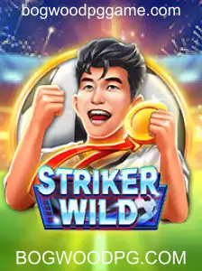 Explorando StrikerWILD: Um Guia Completo para Iniciantes e Veteranos